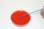 https://www.dev3.thermofisher.com/content/dam/LifeTech/Images/Brands/search/default-brand.jpg