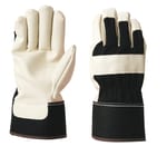 https://www.qa.thermofisher.com/content/dam/LifeTech/Images/Brands/search/default-brand.jpg