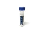 https://www.dev3.thermofisher.com/content/dam/LifeTech/Images/Brands/search/default-brand.jpg