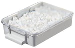 https://www.dev3.thermofisher.com/content/dam/LifeTech/Images/Brands/search/default-brand.jpg