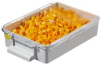 https://www.dev3.thermofisher.com/content/dam/LifeTech/Images/Brands/search/default-brand.jpg