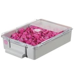 https://www.dev3.thermofisher.com/content/dam/LifeTech/Images/Brands/search/default-brand.jpg