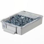 https://www.dev3.thermofisher.com/content/dam/LifeTech/Images/Brands/search/default-brand.jpg