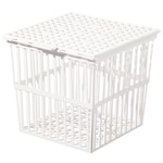 https://www.dev3.thermofisher.com/content/dam/LifeTech/Images/Brands/search/default-brand.jpg