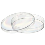 https://www.dev3.thermofisher.com/content/dam/LifeTech/Images/Brands/search/default-brand.jpg