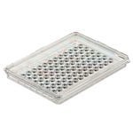 https://www.dev3.thermofisher.com/content/dam/LifeTech/Images/Brands/search/default-brand.jpg