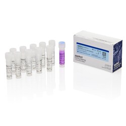 TaqMan™ SARS-CoV-2, FluA, FluB RT-PCR Assay Kit