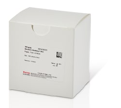 Western Blotting Filter Paper, 0.83 mm thick, 7 x 8.4 cm