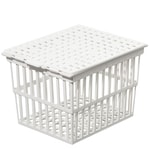 https://www.dev3.thermofisher.com/content/dam/LifeTech/Images/Brands/search/default-brand.jpg