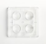 https://www.dev3.thermofisher.com/content/dam/LifeTech/Images/Brands/search/default-brand.jpg