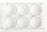 https://www.dev3.thermofisher.com/content/dam/LifeTech/Images/Brands/search/default-brand.jpg