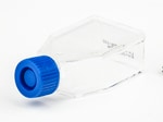 https://www.dev3.thermofisher.com/content/dam/LifeTech/Images/Brands/search/default-brand.jpg