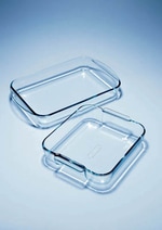 https://www.dev3.thermofisher.com/content/dam/LifeTech/Images/Brands/search/default-brand.jpg
