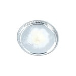 https://www.dev3.thermofisher.com/content/dam/LifeTech/Images/Brands/search/default-brand.jpg