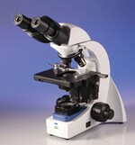https://www.dev3.thermofisher.com/content/dam/LifeTech/Images/Brands/search/default-brand.jpg