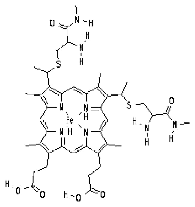 Cytochrom c