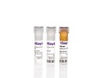 https://www.qa.thermofisher.com/content/dam/LifeTech/Images/Brands/search/default-brand.jpg