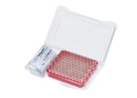 https://www.thermofisher.com/content/dam/LifeTech/Images/Brands/search/default-brand.jpg
