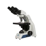 https://www.dev3.thermofisher.com/content/dam/LifeTech/Images/Brands/search/default-brand.jpg