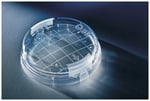 https://www.dev3.thermofisher.com/content/dam/LifeTech/Images/Brands/search/default-brand.jpg