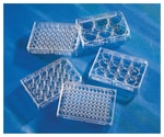 https://www.dev3.thermofisher.com/content/dam/LifeTech/Images/Brands/search/default-brand.jpg