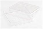 https://www.dev3.thermofisher.com/content/dam/LifeTech/Images/Brands/search/default-brand.jpg
