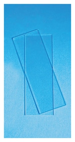 https://www.dev3.thermofisher.com/content/dam/LifeTech/Images/Brands/search/default-brand.jpg