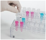 https://www.dev3.thermofisher.com/content/dam/LifeTech/Images/Brands/search/default-brand.jpg