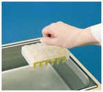 https://www.dev3.thermofisher.com/content/dam/LifeTech/Images/Brands/search/default-brand.jpg