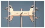 https://www.dev3.thermofisher.com/content/dam/LifeTech/Images/Brands/search/default-brand.jpg