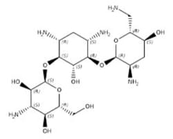 Aminosaccharides