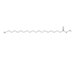Fatty acid esters
