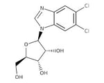 Benzimidazole ribonucleosides and ribonucleotides