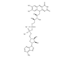 Flavin nucleotides