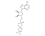 Purine nucleotides
