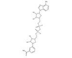 Pyridine nucleotides
