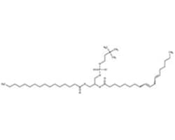 Organic oxoanionic compounds