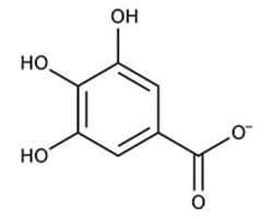 Gallic Acid
