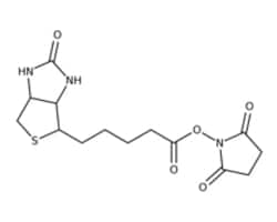 Biotin and derivatives