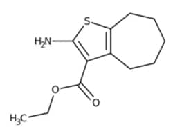 Cycloheptathiophenes