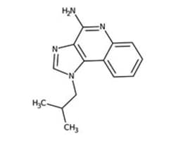 Lactones
