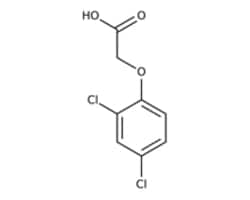 Phenoxy compounds