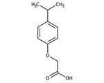 Phenoxyacetic acid derivatives