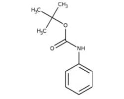 Phenylcarbamic acid esters