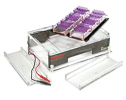 Gel Electrophoresis Equipment
