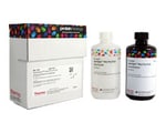 Western Blot Substrates and Substrate Kits