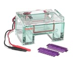 Agarose Gel Electrophoresis Systems