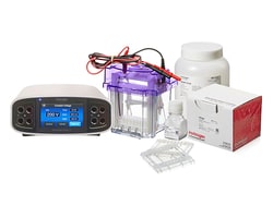 Isoelectric Focusing Electrophoresis Systems