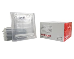 Precast Electrophoresis Gels