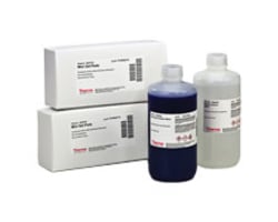 Electrophoresis Gel Stains